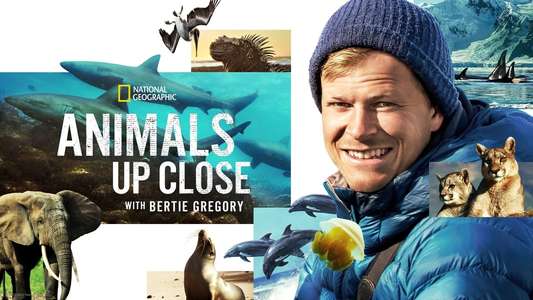 Animals Up Close with Bertie Gregory - Backdrops