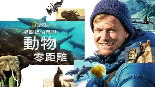 Animals Up Close with Bertie Gregory - Backdrops