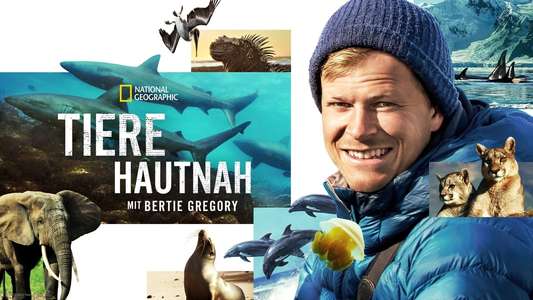 Animals Up Close with Bertie Gregory - Backdrops