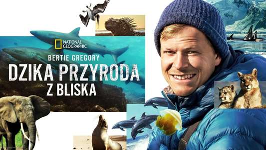 Animals Up Close with Bertie Gregory - Backdrops