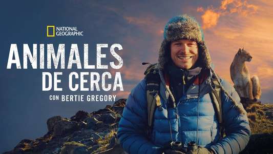 Animals Up Close with Bertie Gregory - Backdrops