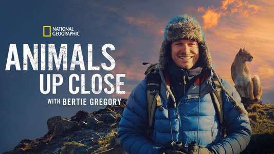 Animals Up Close with Bertie Gregory - Backdrops
