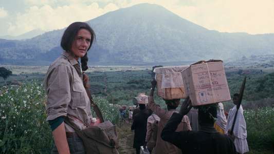 Dian Fossey: Secrets in the Mist - Backdrops