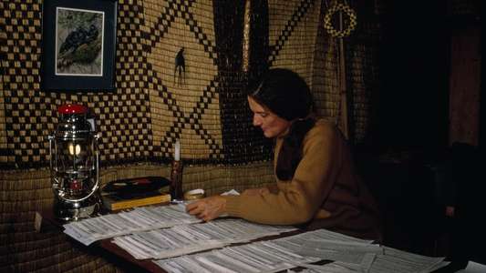 Dian Fossey: Secrets in the Mist - Backdrops