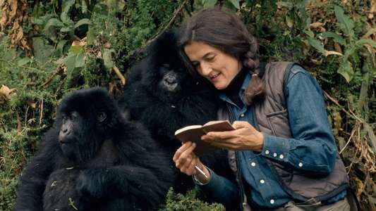Dian Fossey: Secrets in the Mist - Backdrops