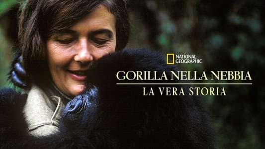 Dian Fossey: Secrets in the Mist - Backdrops