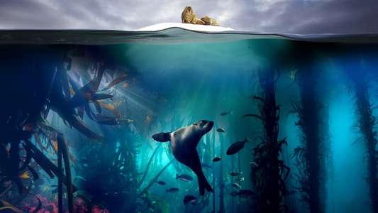 Blue Planet II - Backdrops