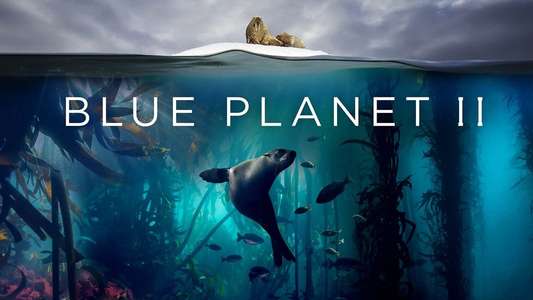 Blue Planet II - Backdrops
