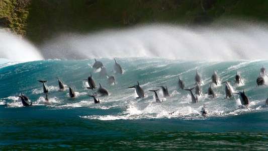 Blue Planet II - Backdrops