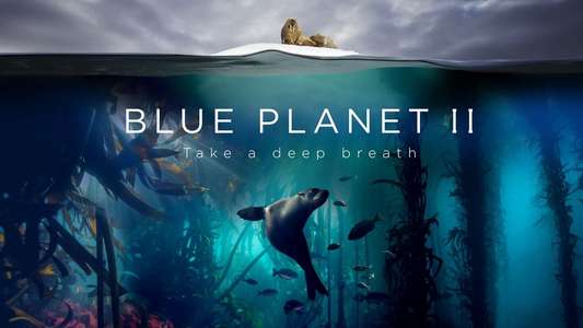 Blue Planet II - Backdrops