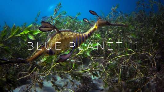Blue Planet II - Backdrops