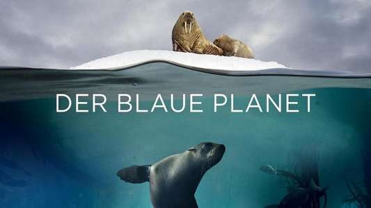 Blue Planet II - Backdrops