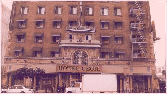 Horror at the Cecil Hotel - Backdrops