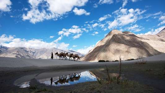 Mountain: Life at the Extreme - Backdrop