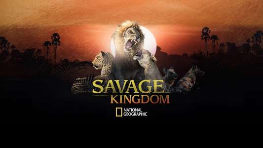 Savage Kingdom - Backdrops
