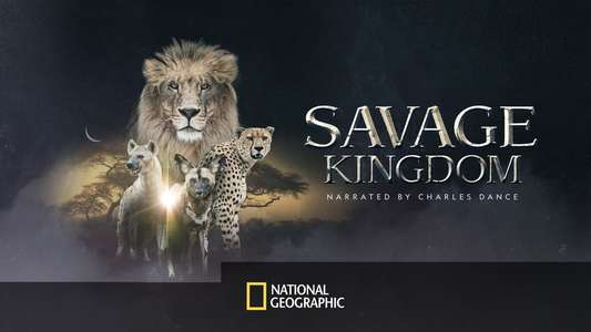 Savage Kingdom - Backdrops