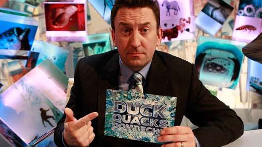 Duck Quacks Don't Echo - Backdrop