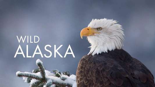 Alaska: Earth's Frozen Kingdom - Backdrop