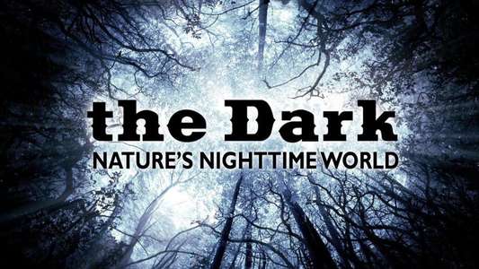 The Dark - Nature's Nighttime Worlds - Backdrop