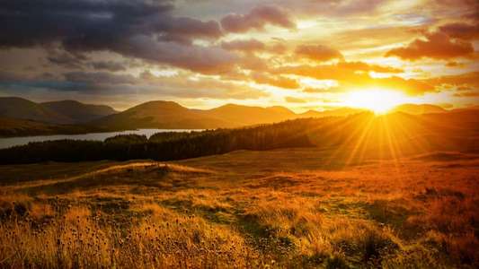 Autumnwatch - Backdrops