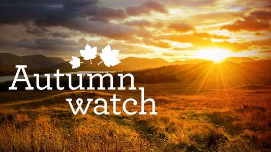 Autumnwatch - Backdrops