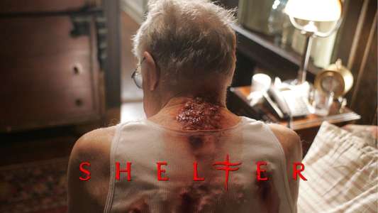 Shelter - Backdrop