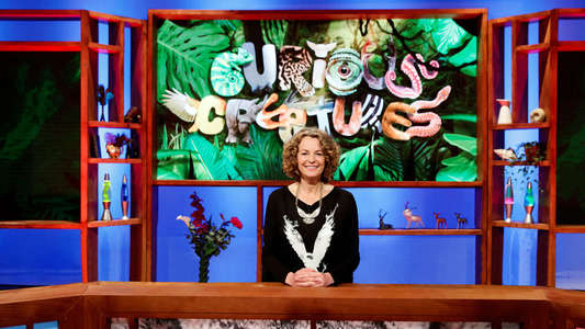 Curious Creatures - Backdrop