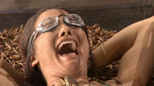 Fear Factor - Backdrop