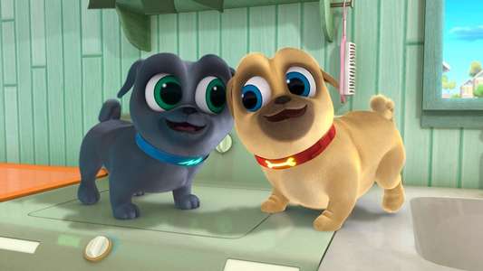 Puppy Dog Pals - Backdrops