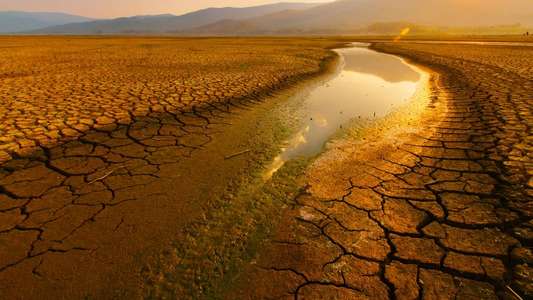 Parched - Backdrops