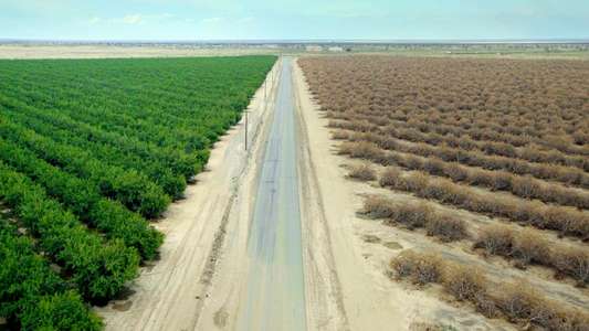 Parched - Backdrops