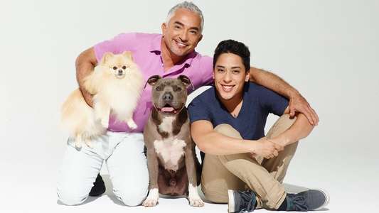 Cesar Millan's Dog Nation - Backdrop