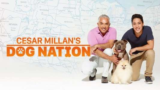 Cesar Millan's Dog Nation - Backdrop