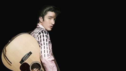 Sun Records - Backdrop