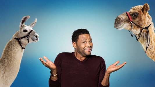 Animal Nation With Anthony Anderson - Backdrops