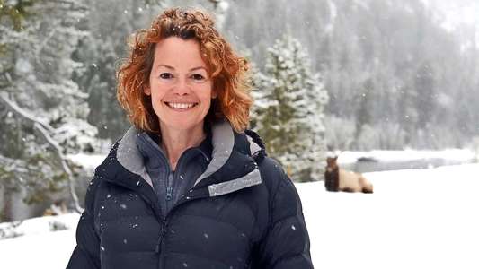 Yellowstone: Wildest Winter to Blazing Summer - Backdrop