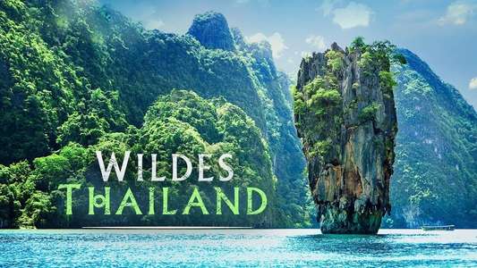Thailand: Earth's Tropical Paradise - Backdrop