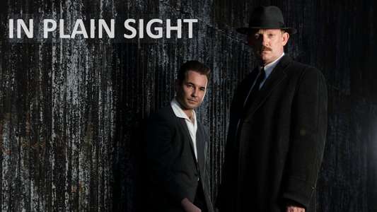 In Plain Sight - Backdrop