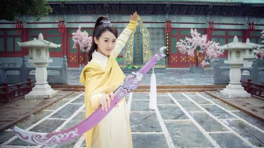 The Legend of Flying Daggers - Backdrop