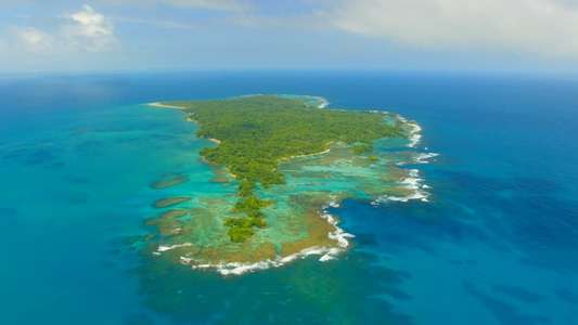 Planet Earth II - Backdrops