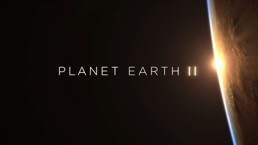 Planet Earth II - Backdrops