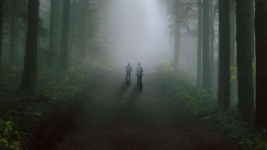 Eyewitness - Backdrops
