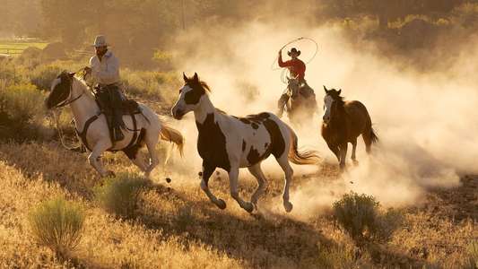 Wild West: America's Great Frontier - Backdrop