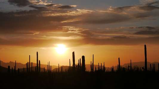 Wild West: America's Great Frontier - Backdrop