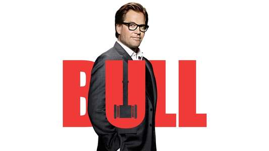 Bull - Backdrops