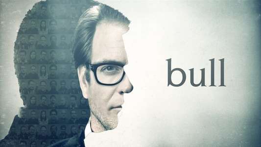 Bull - Backdrops