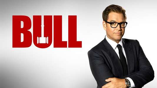 Bull - Backdrops
