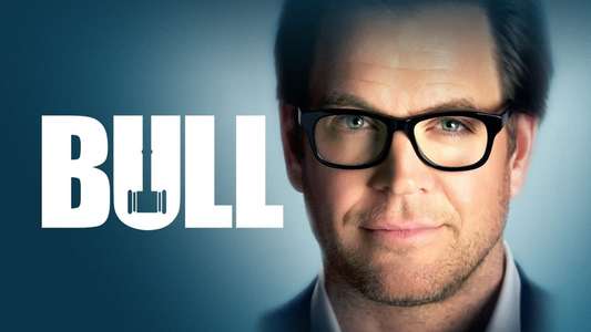 Bull - Backdrops