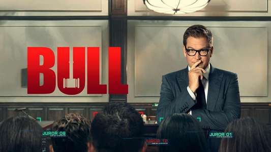 Bull - Backdrops