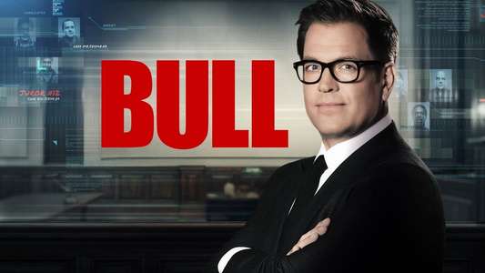 Bull - Backdrops
